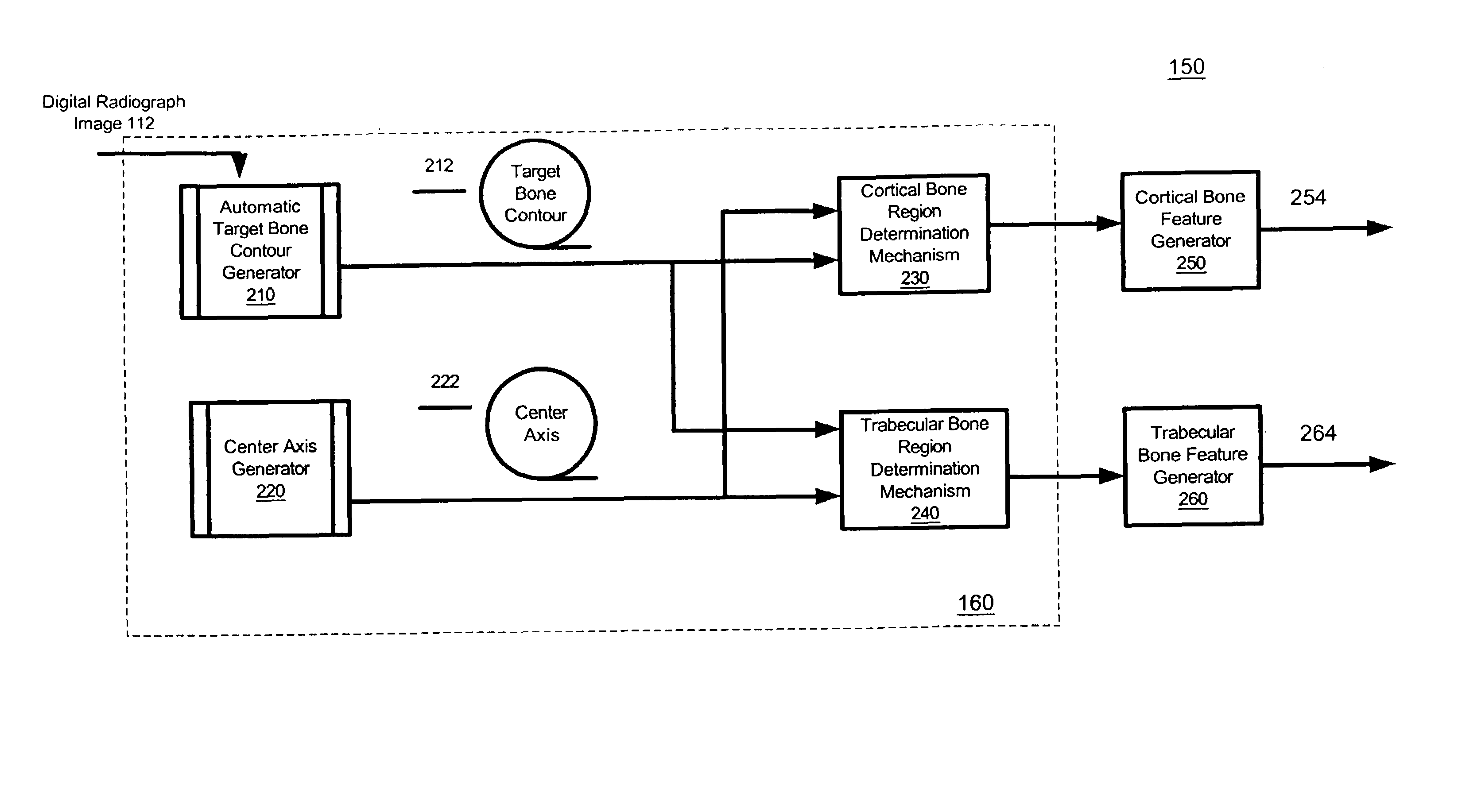 Method and system for automatically identifying regions of trabecular bone tissue and cortical bone tissue of a target bone from a digital radiograph image