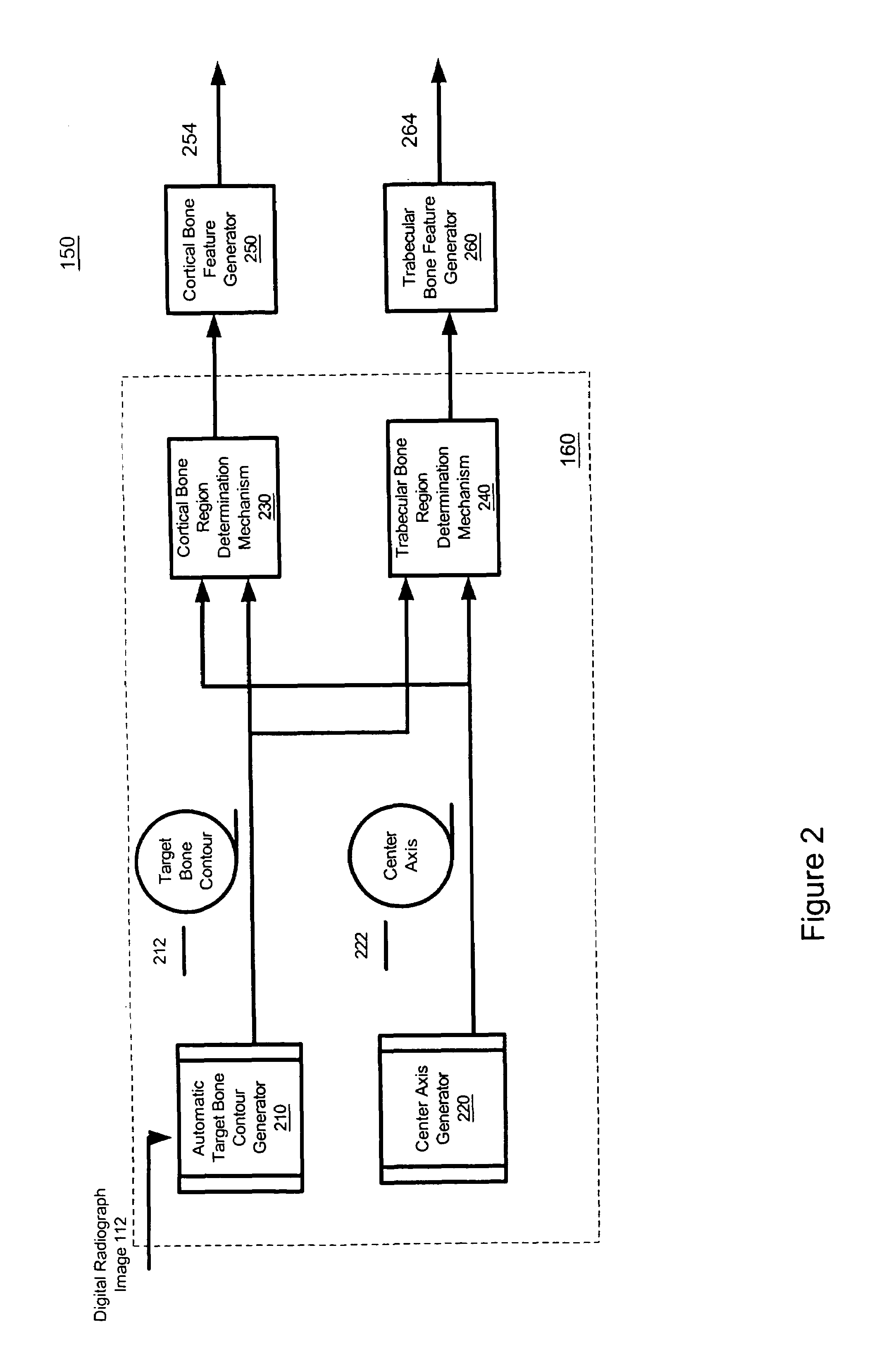 Method and system for automatically identifying regions of trabecular bone tissue and cortical bone tissue of a target bone from a digital radiograph image