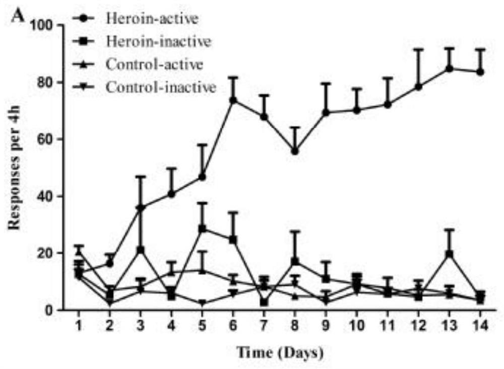 Application of GABRD methylation target in preparation of heroin relapse resisting drug