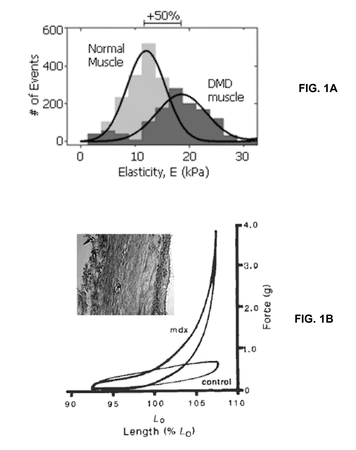 Systems and methods of disease modeling using static and time-dependent hydrogels