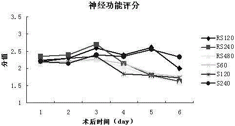 Novel application of oxiracetam or levo-oxiracetam in pharmaceutical field