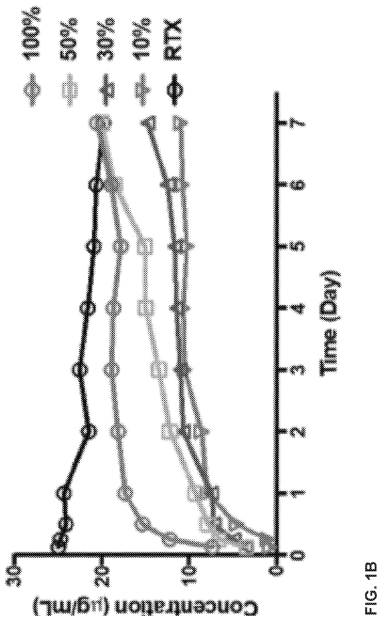 Delivery of macromolecules into the central nervous system via the bloodstream