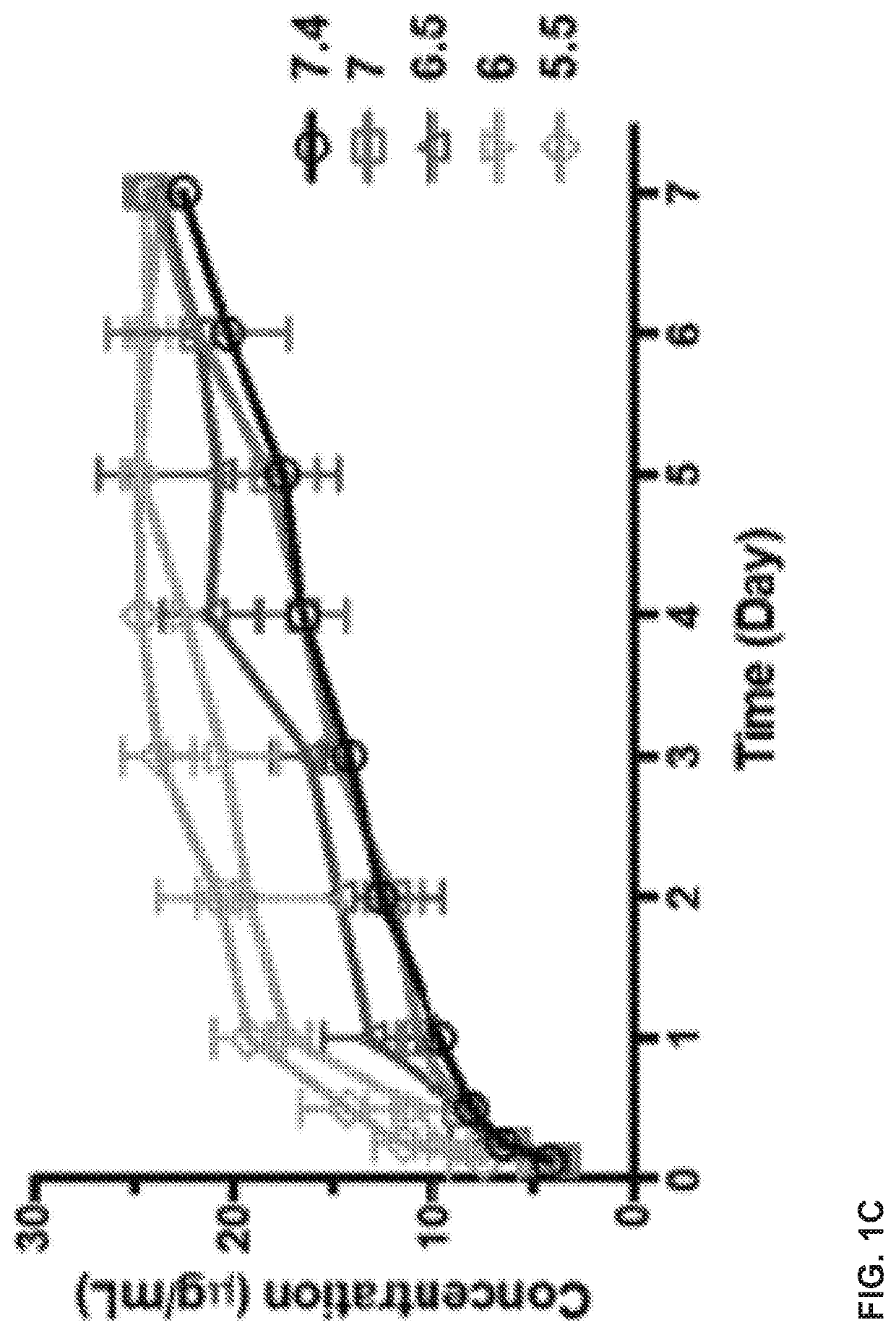 Delivery of macromolecules into the central nervous system via the bloodstream