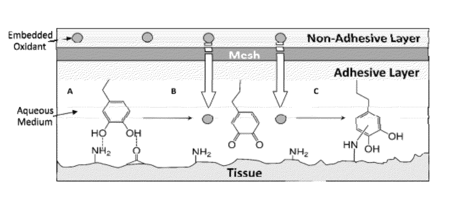 Adhesive compounds and methods use for hernia repair