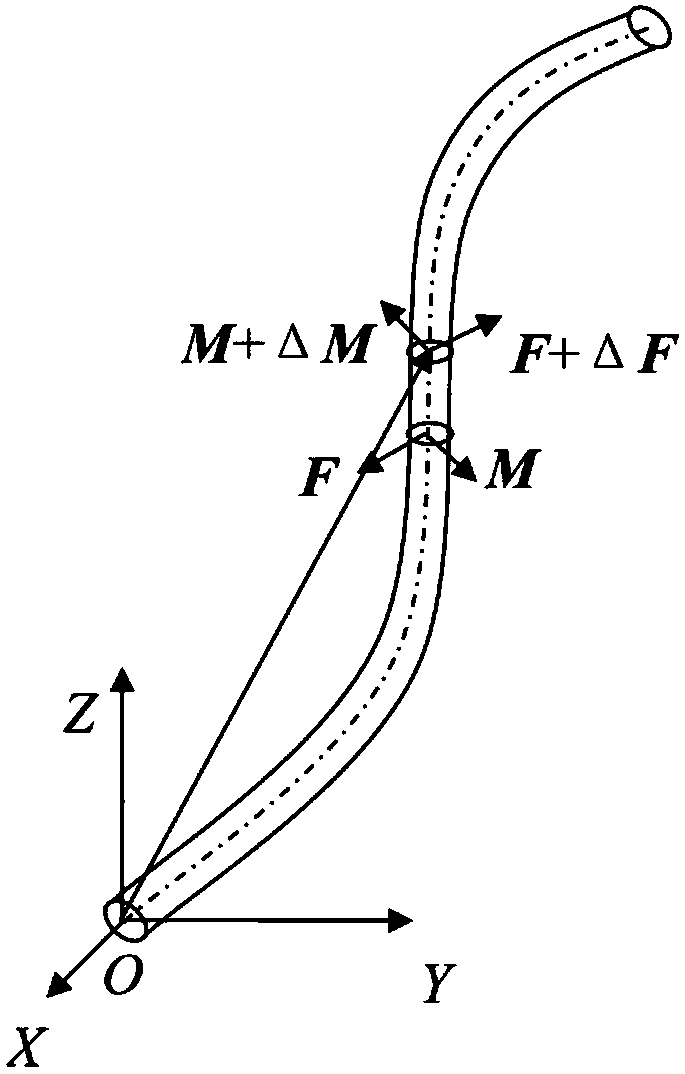 Robot cable modeling method under curved surface constraint