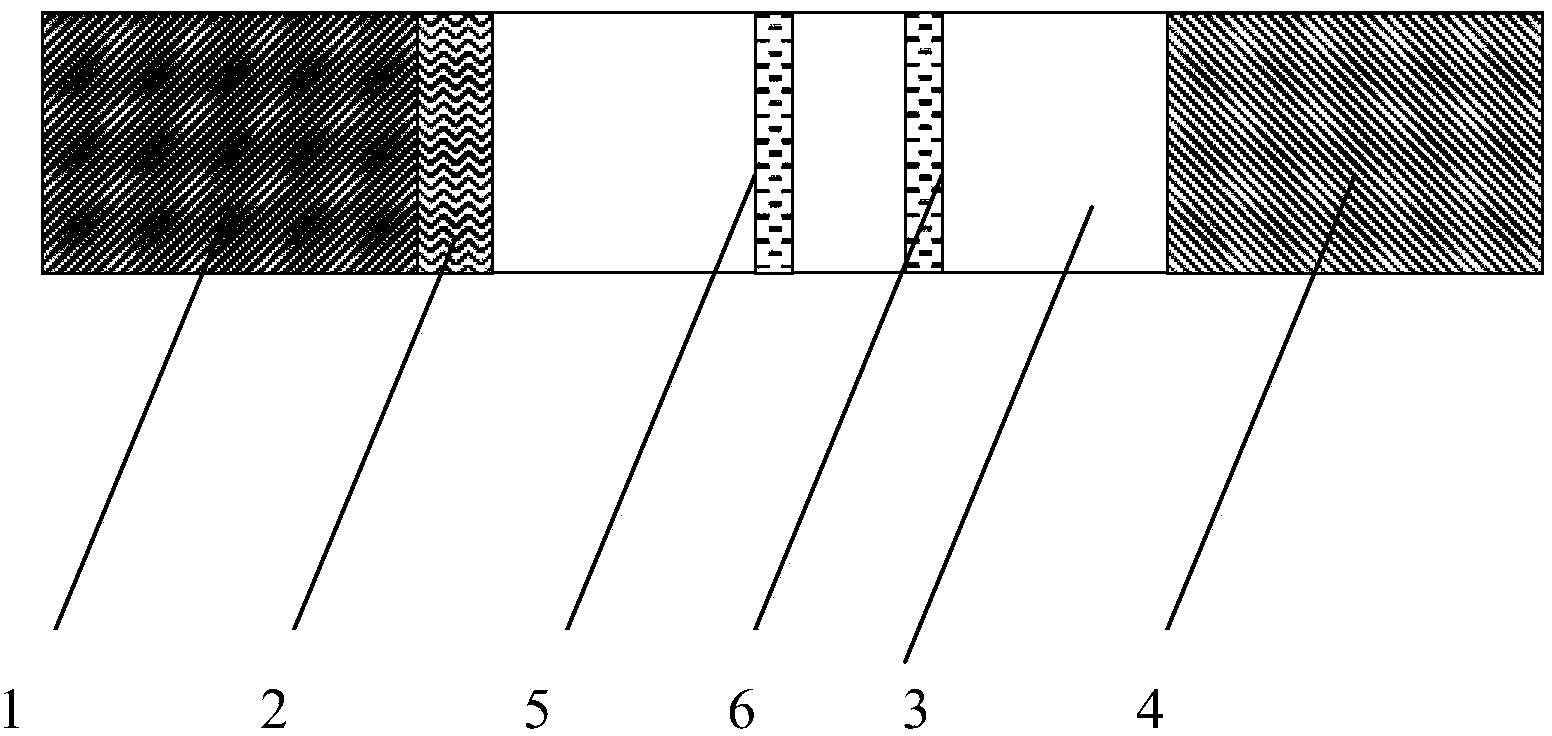 Immunochromatographic test strip for diagnosing kala-azar based on detection of circulating antigens