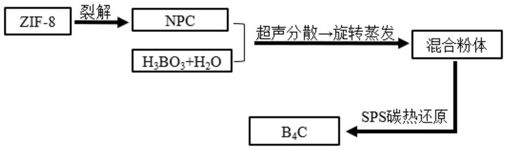 Method for preparing boron carbide powder by adopting organic carbon source