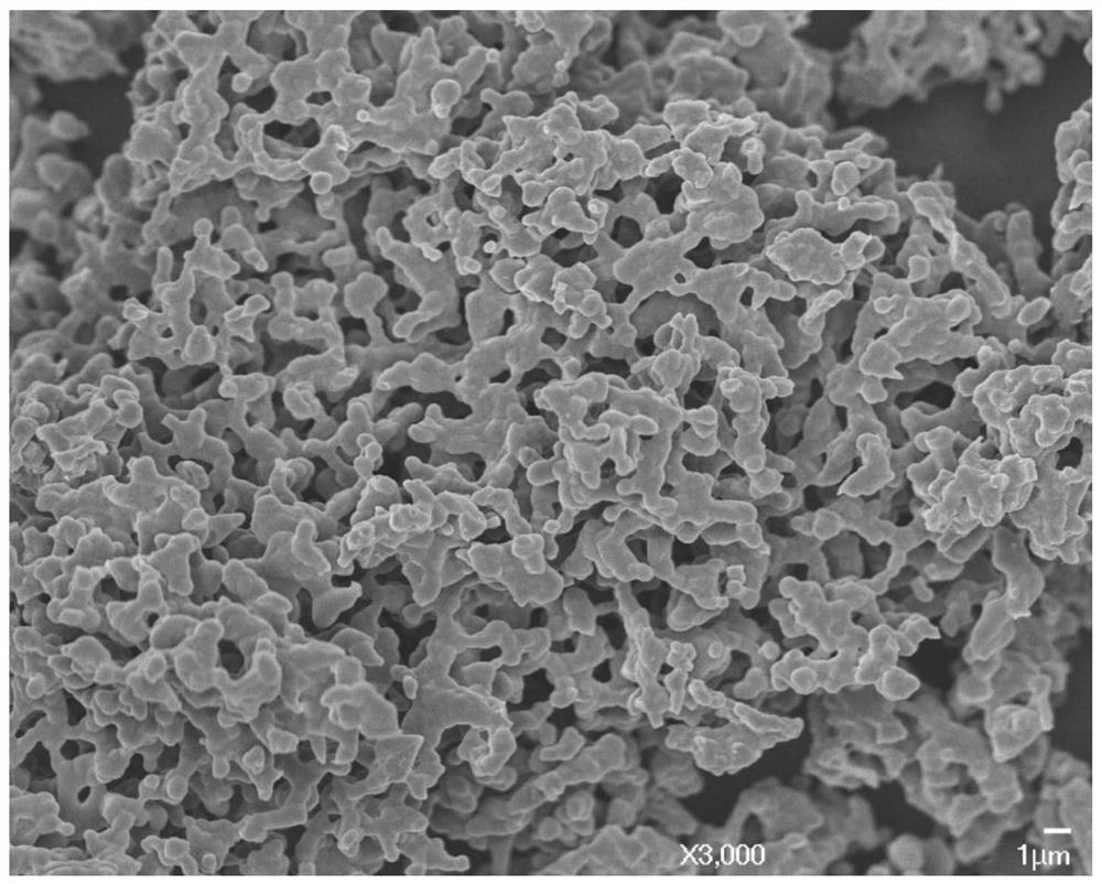 Method for preparing boron carbide powder by adopting organic carbon source