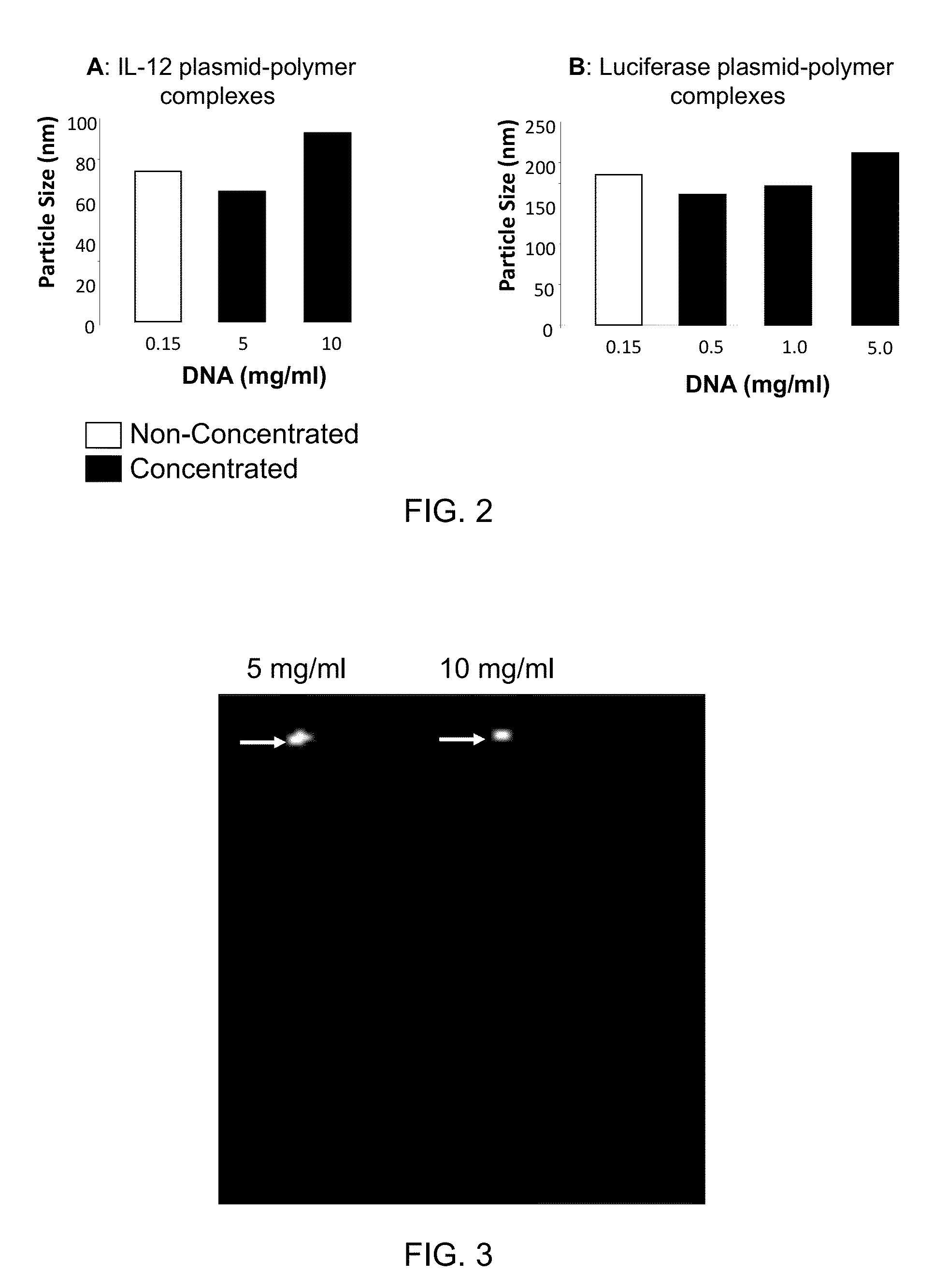 Nucleic acid-lipopolymer compositions