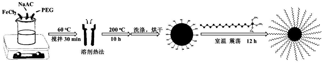 Preparation of ferromagnetic nanoparticle and application thereof in extraction and removal of micro-plastics