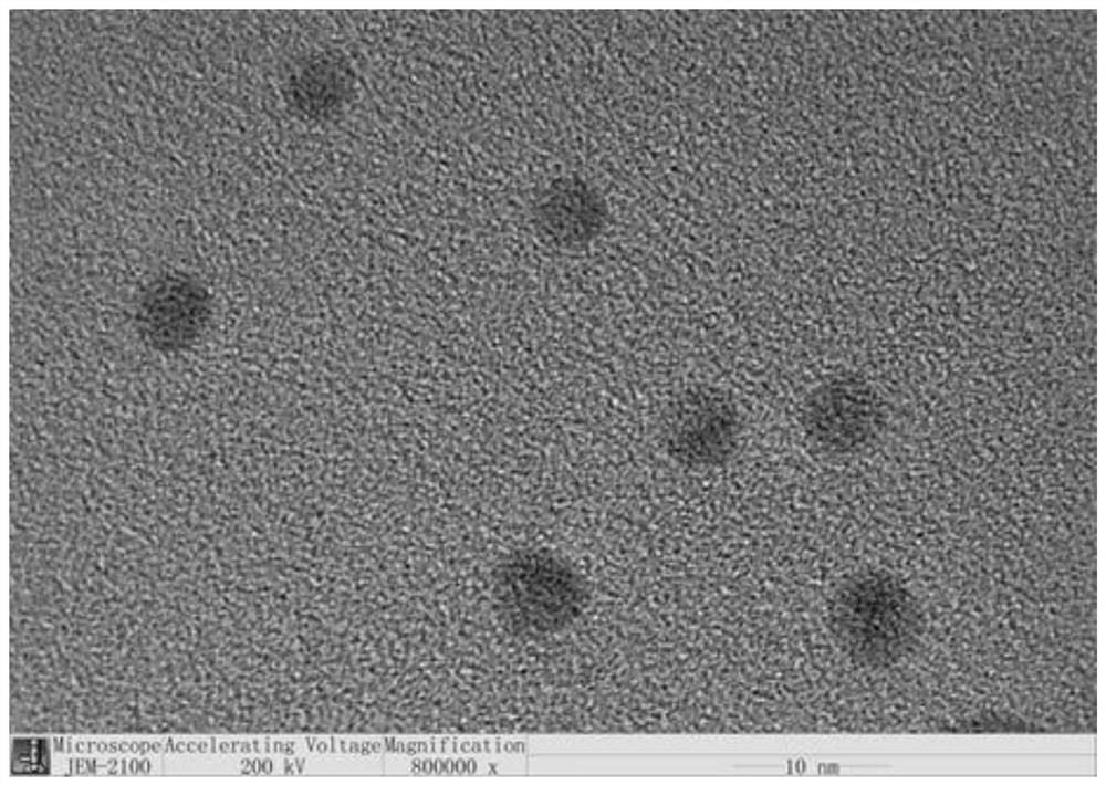 A kind of noble metal quantum dots and preparation method and application thereof