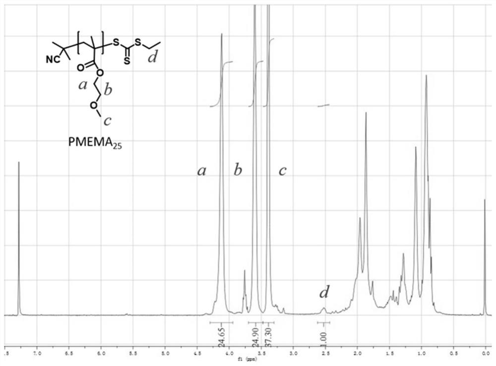 Polymer fluorescent probe and application thereof