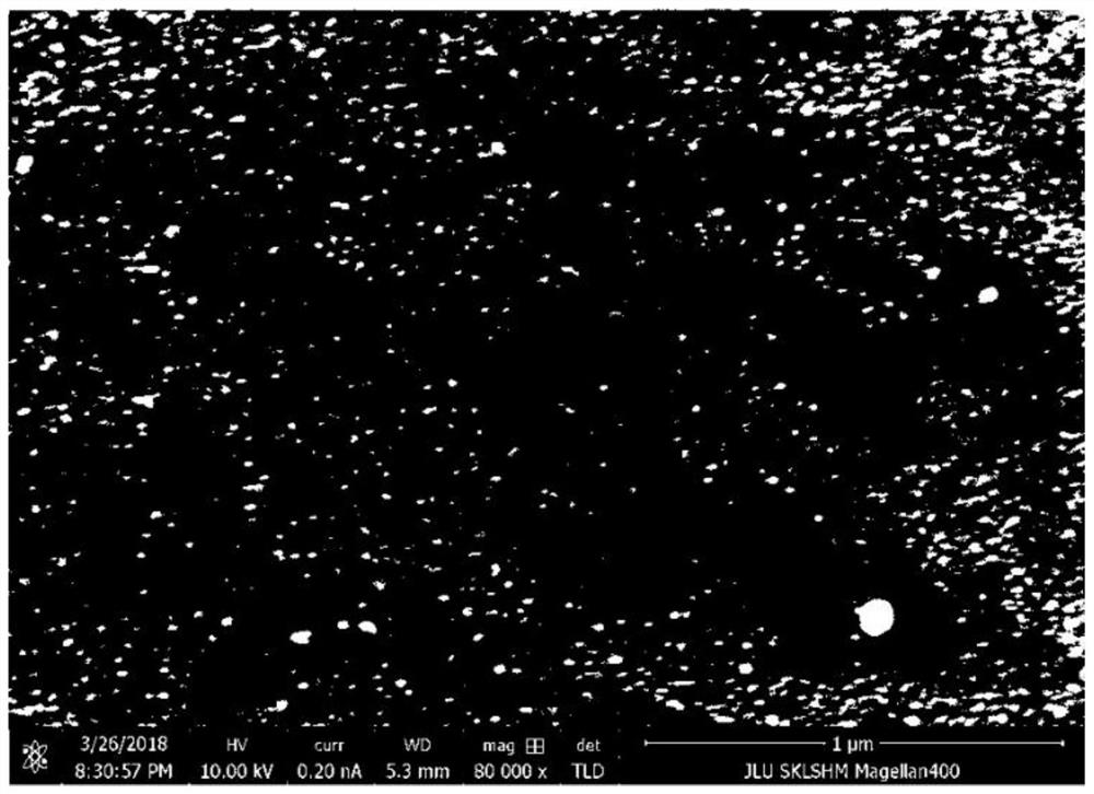 N-type boron nitride film/p-type monocrystalline silicon heterogeneous pn junction prototype device and preparation method thereof