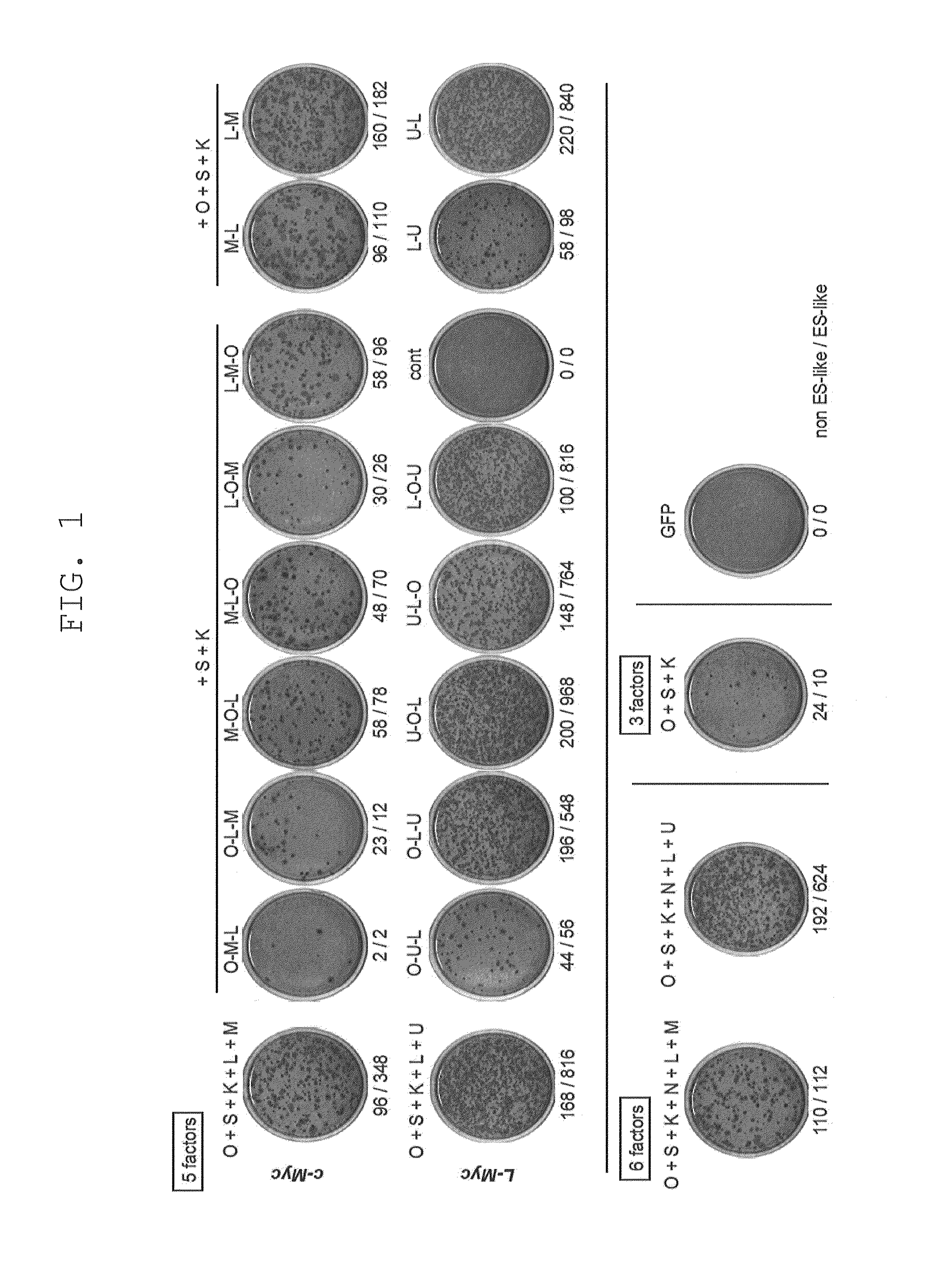 Method of efficiently establishing induced pluripotent stem cells