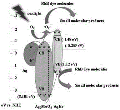 Block-shaped Ag2MoO4@Ag@AgBr ternary complex and preparation method and application thereof