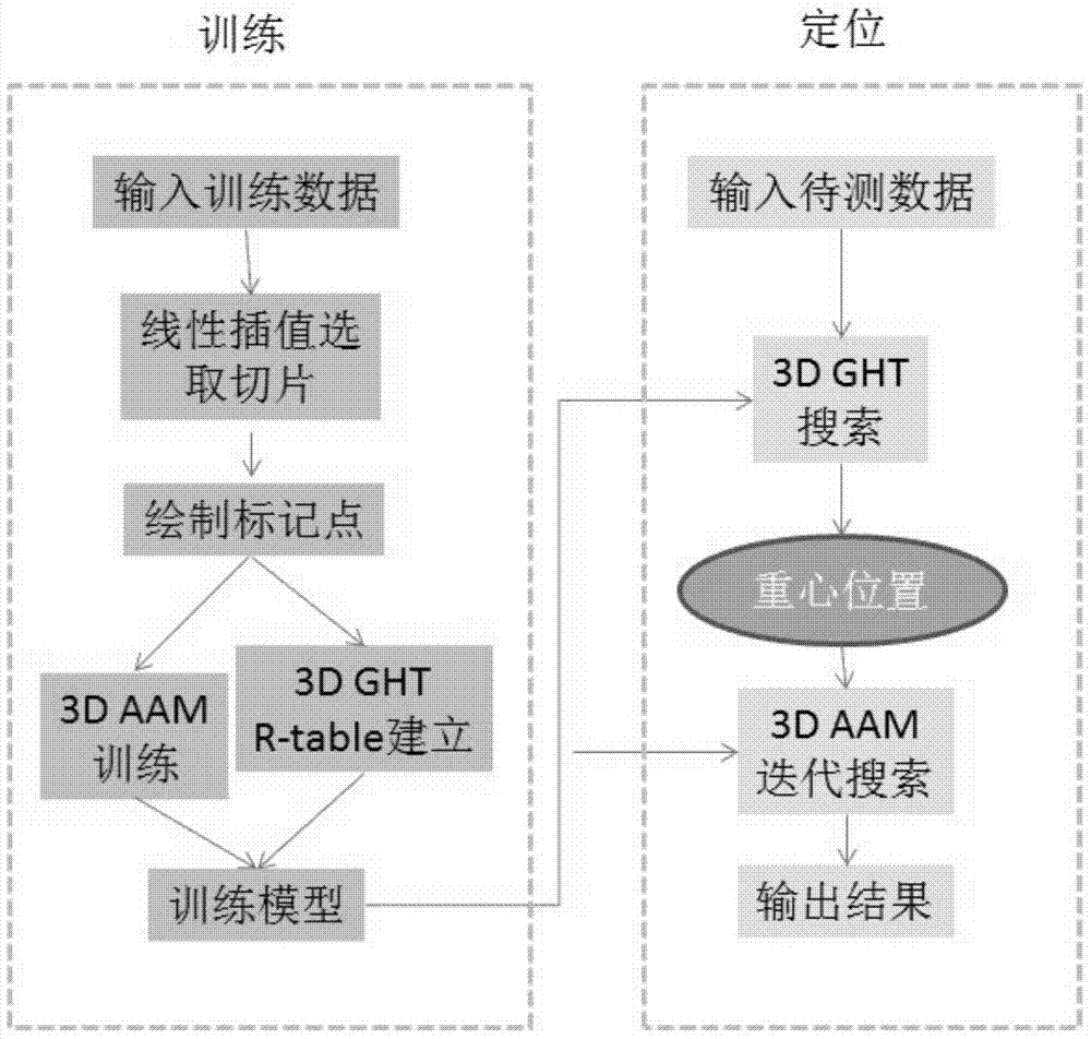 Three-dimensional renal cortex positioning method based on three-dimensional active contour model and three-dimensional Harvard transformation