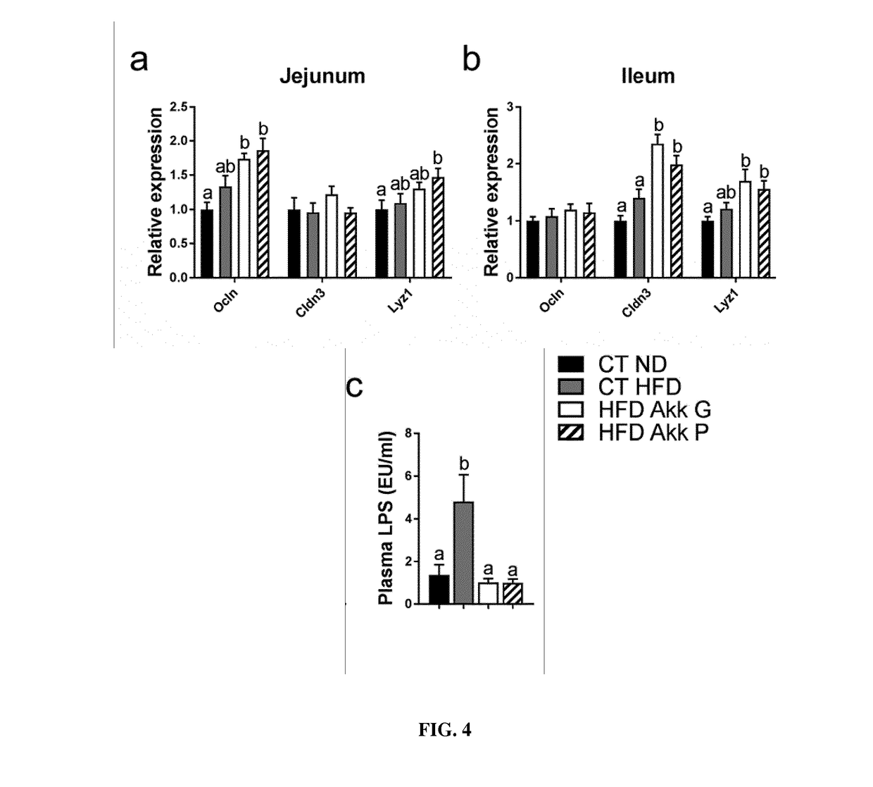 Use of pasteurized akkermansia for treating metabolic disorders