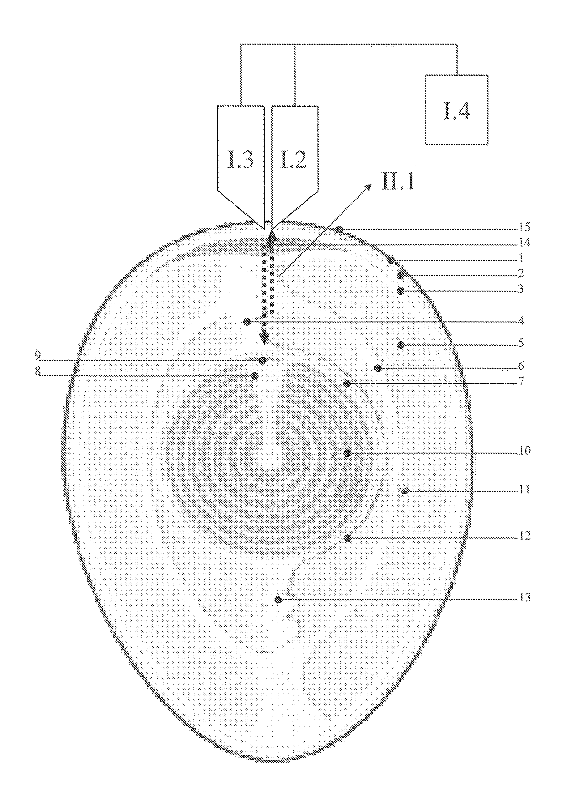 Method for avian sex determination