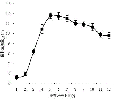 Penicillium oxalicum bam-1 and its separation and purification method and application