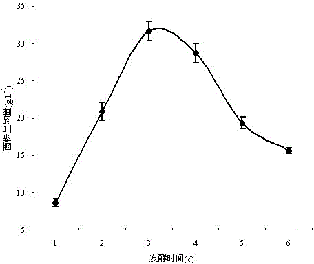 Penicillium oxalicum bam-1 and its separation and purification method and application