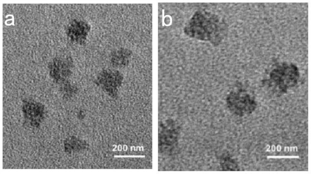 Application of fluorinated polyethyleneimine in preparation of vaccine or preparation for preventing/treating diseases caused by viruses/bacteria