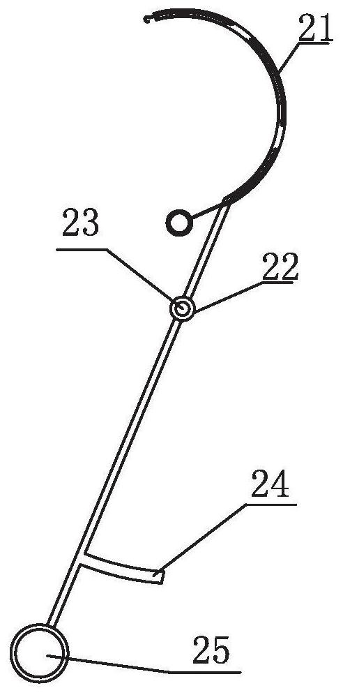 Femoral lesser trochanter fixation device