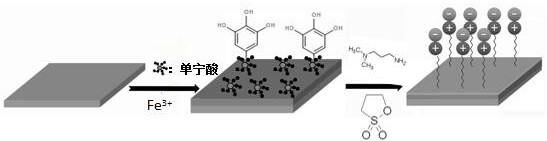 A preparation method of an underwater superoleophobic oil-water separation membrane based on tannic acid modification