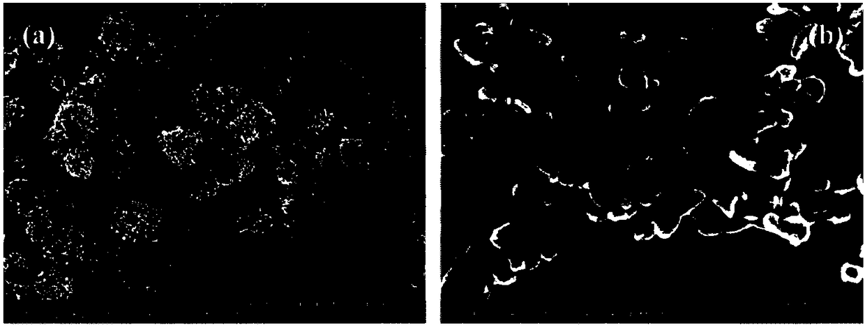 Preparation method of high performance iodine vacancy bismuth oxygen-iodine photocatalytic material and application of high performance iodine vacancy bismuth oxygen-iodine photocatalytic material in treatment of toxic organic wastewater