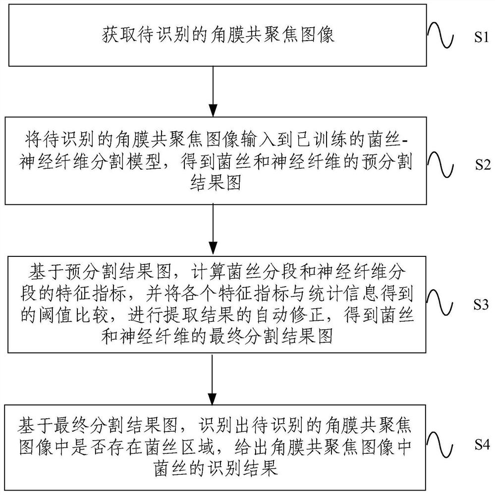 Method and device for identifying hyphae in cornea confocal image