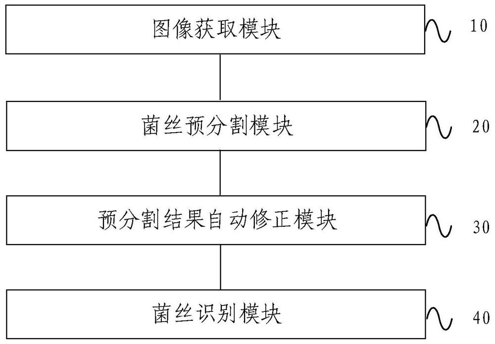 Method and device for identifying hyphae in cornea confocal image