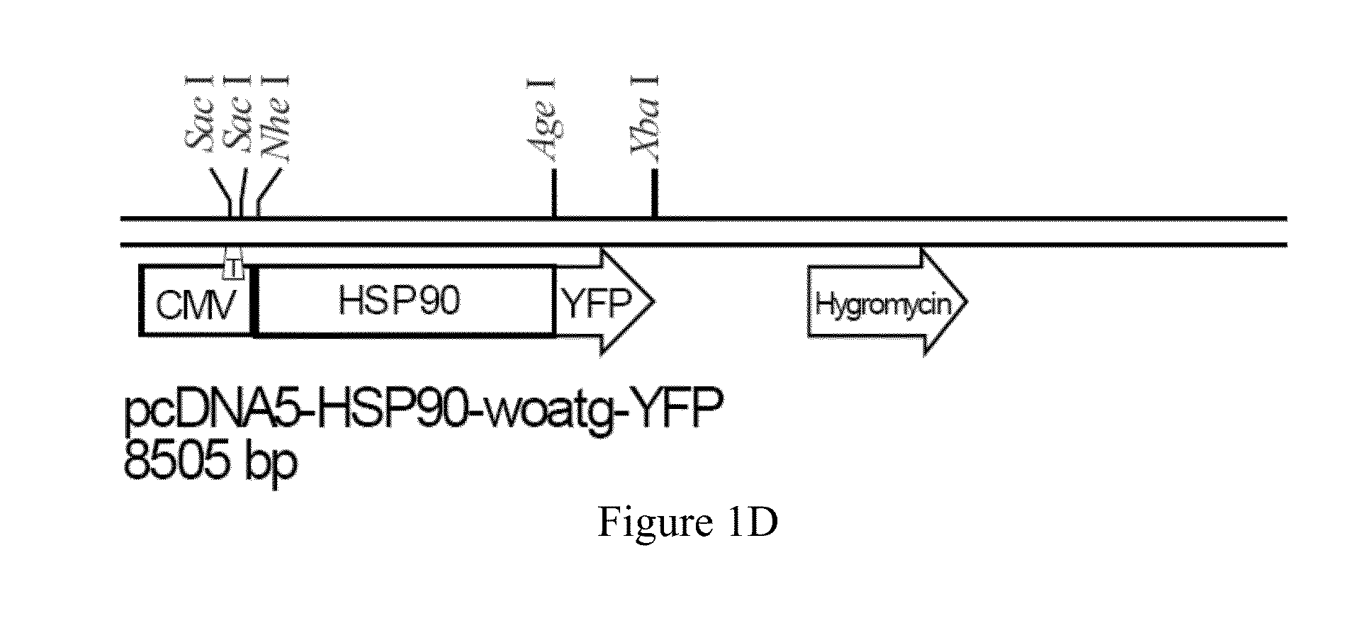 Method and system of detecting dioxin-like compounds