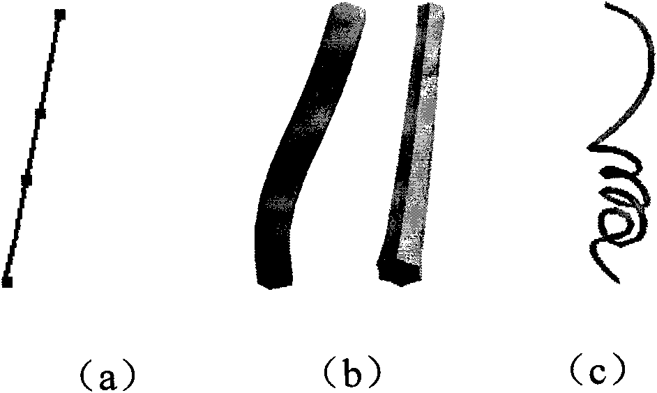 Horticultural plant geometric shape modeling method and system