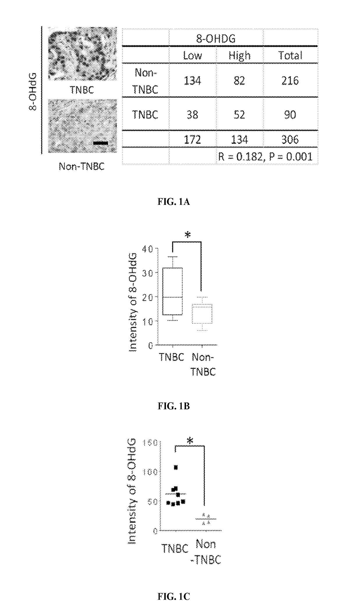 Prediction of response to parp inhibitors and combinational therapy targeting c-met and parp1