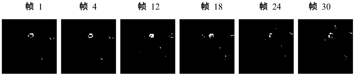 An ant colony aggregation cell tracking system based on potential estimation