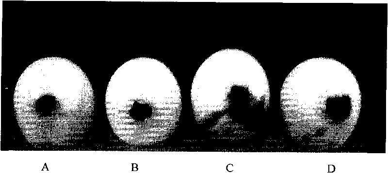 Egg hatching method for culturing transgenic poultry