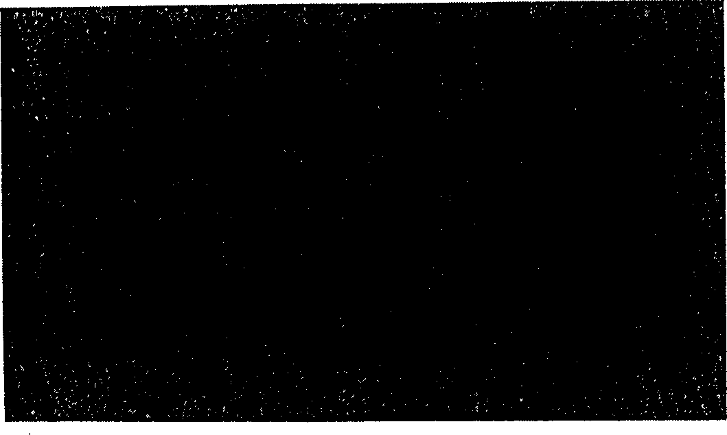 Repairing type lubricant additive and its preparation method