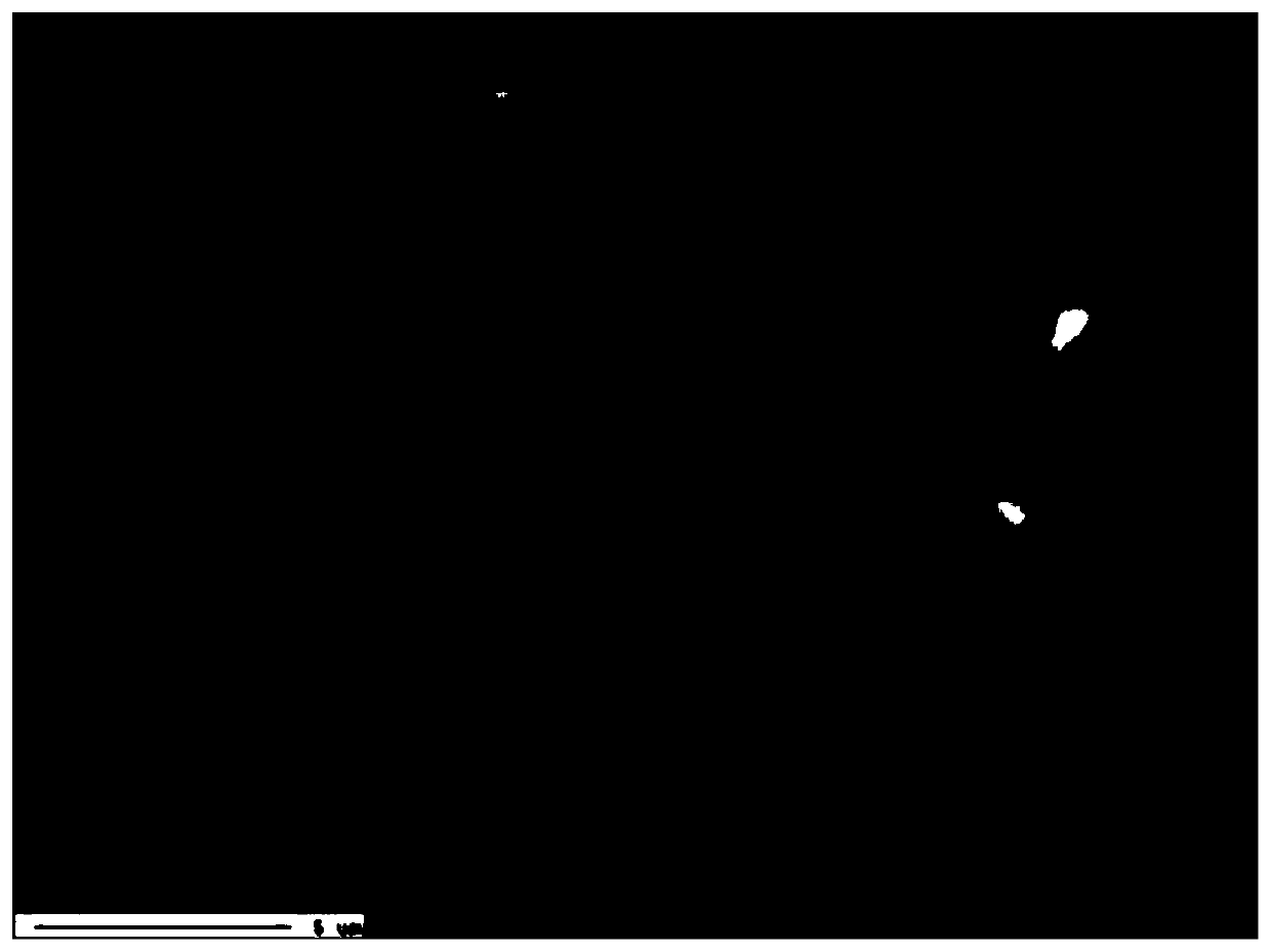 Neodymium-iron-boron magnet material and raw material composition thereof, and preparation method and application of neodymium-iron-boron magnet material