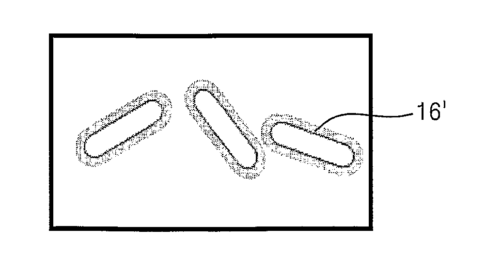 Method of fabricating carbon nanotubes uniformly coated with titanium dioxide