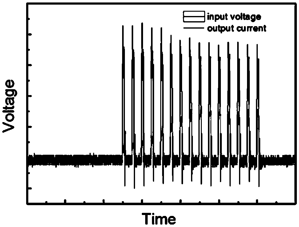 Memristor having neural bionic function and preparation method and application thereof