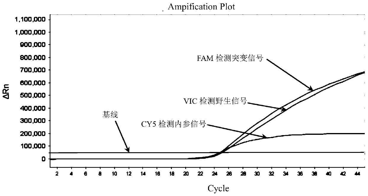 Primer-probe composition for detecting human SLCO1B1 and ApoE genetic typing, kit and detecting method