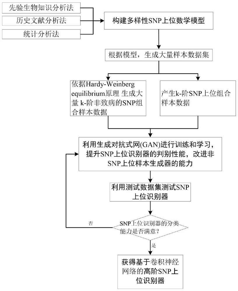 Generative adversarial network-based SNP upper interaction identification method, system and application