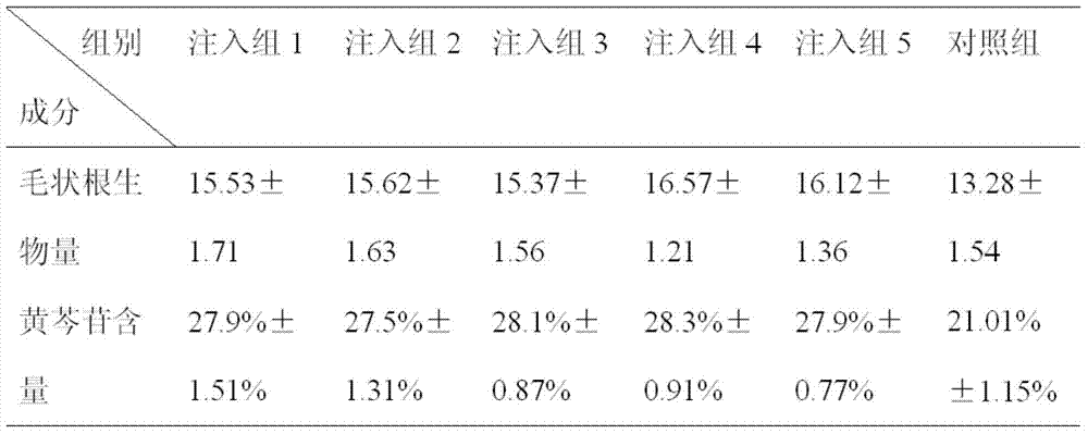 Method for improving yield of baicalin from hairy roots of scutellaria baicalensis