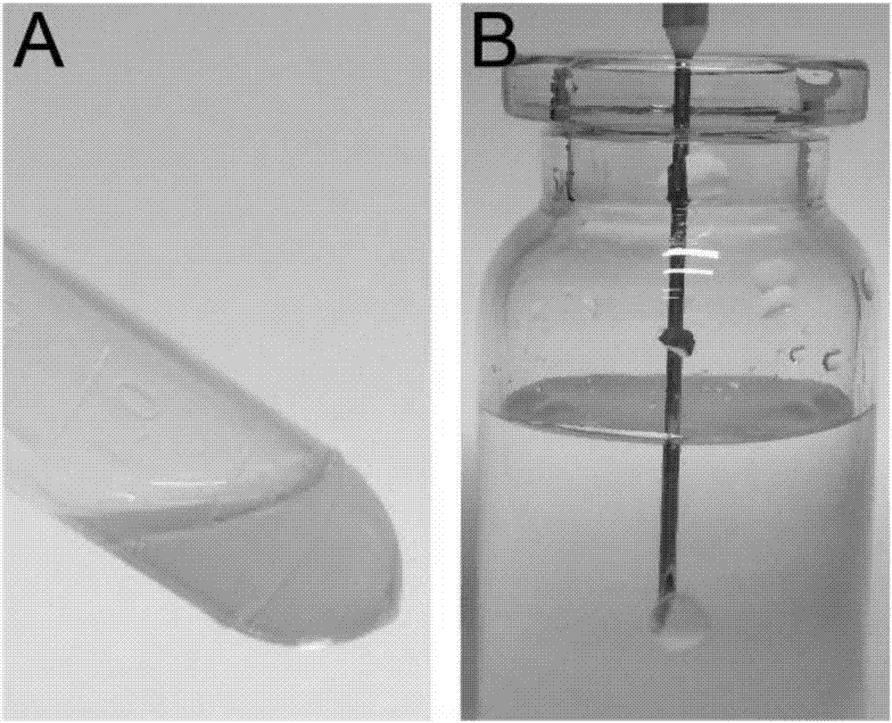 Small molecule drug in-situ phase-change gel sustained release system and preparation method thereof