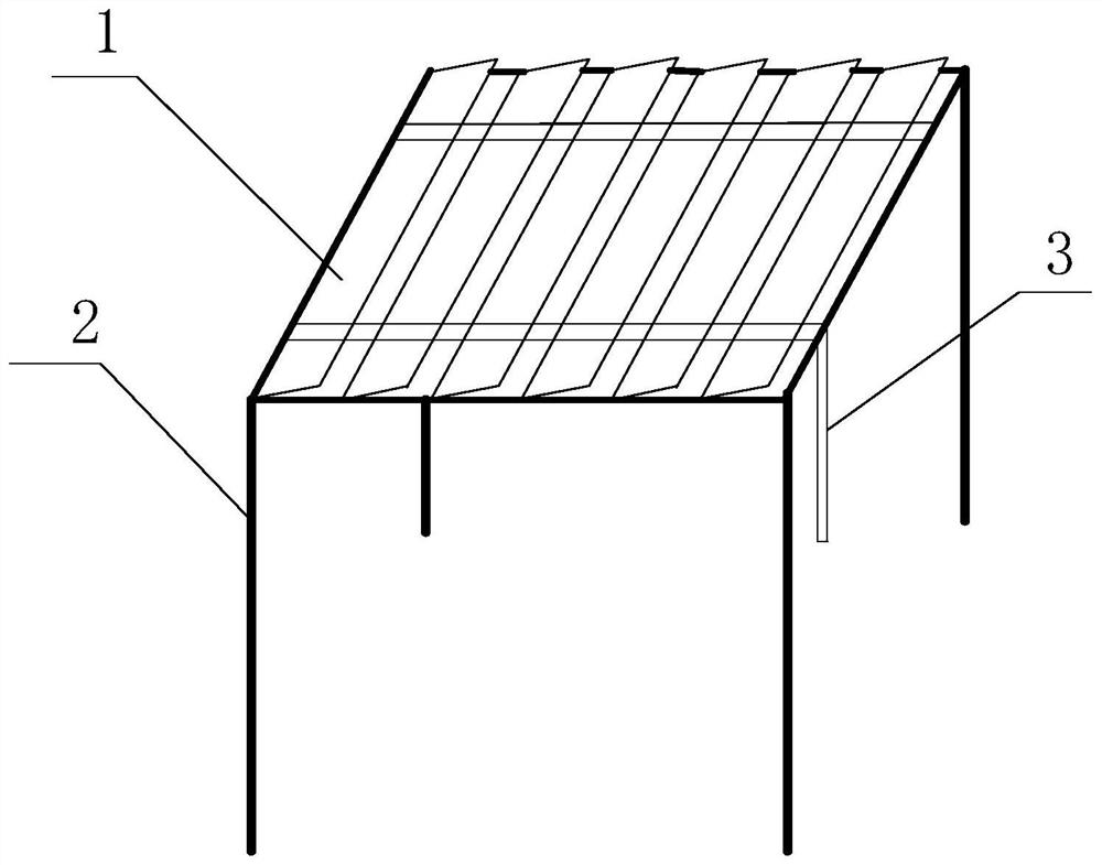 A kind of high-efficiency cultivation method of quinoa in low altitude area