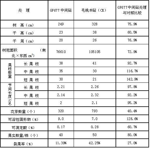 Method for controlling crown growth of peach tree by using inter stocks