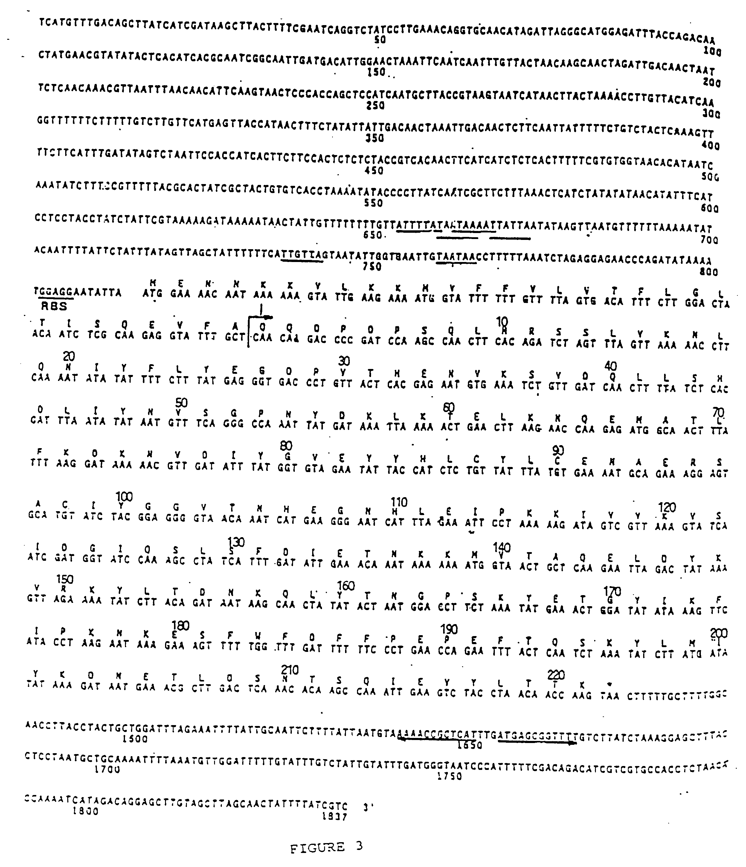 Mutants of streptococcal toxin A and methods of use