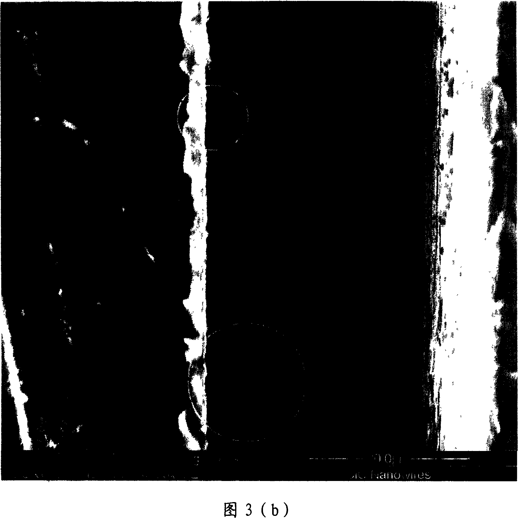 Nano-wire in-situ stretching device in scanning electron microscope and method therefor