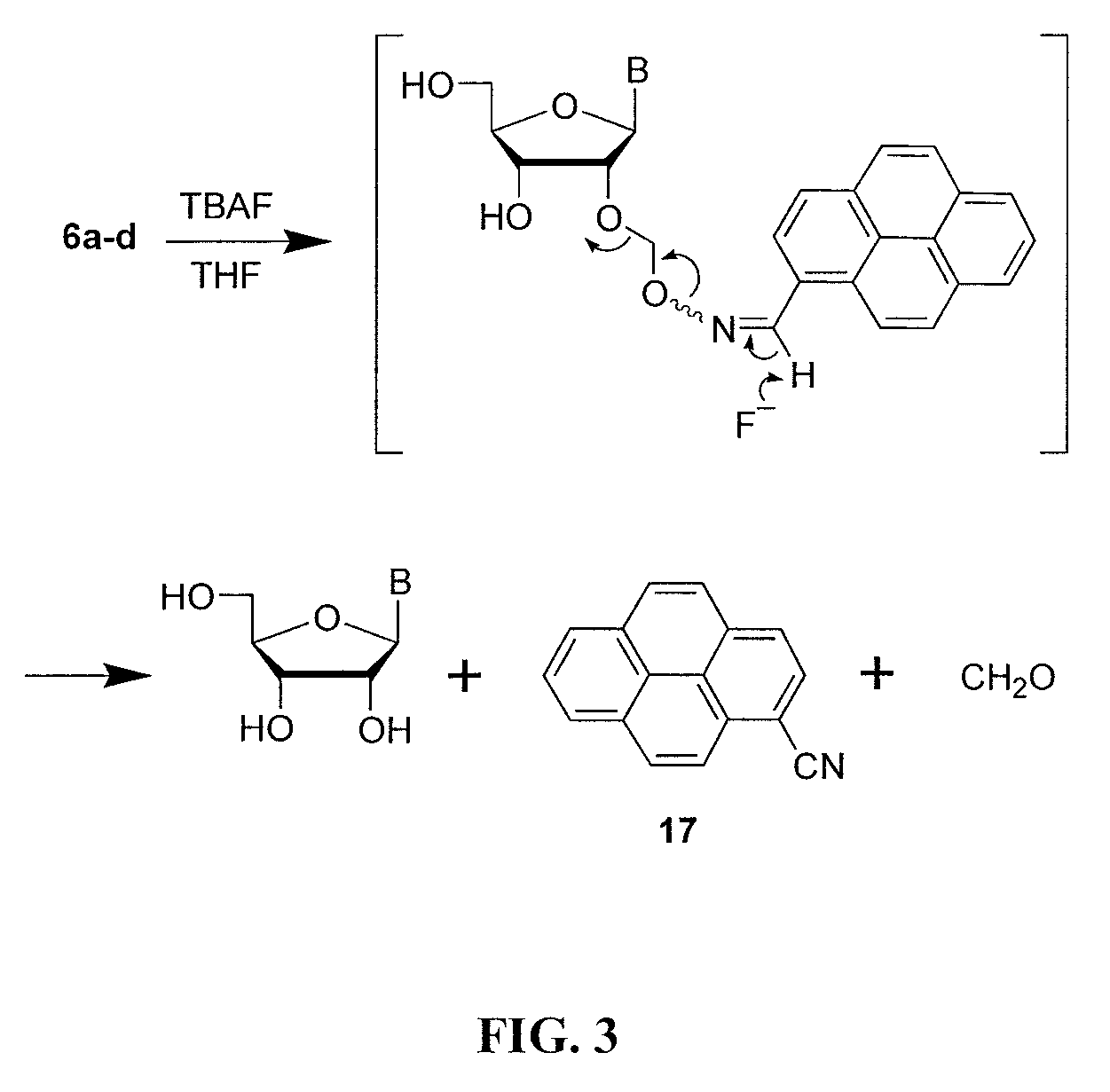 2′-O-aminooxymethyl nucleoside derivatives for use in the synthesis and modification of nucleosides, nucleotides and oligonucleotides