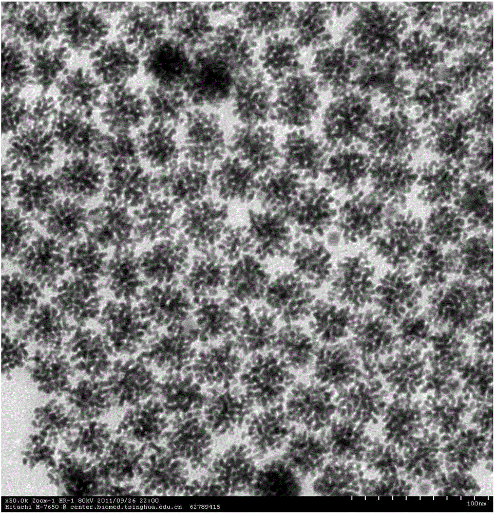 Preparing method for Pt-Co flower-type nano-catalyst