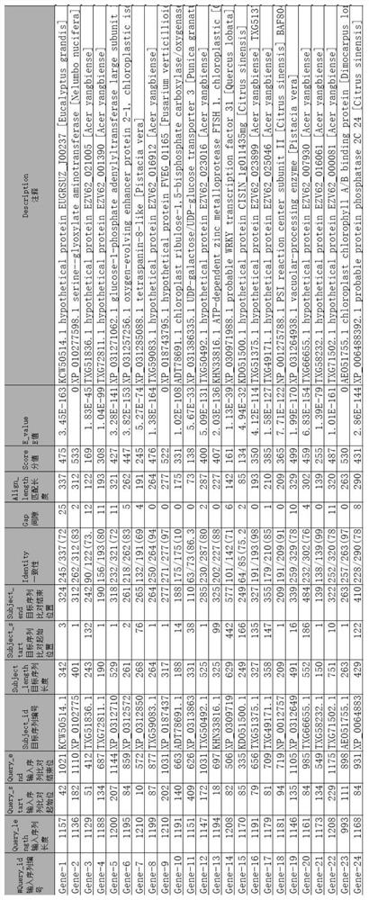 Method for judging frame shift of gene sequence of cDNA library